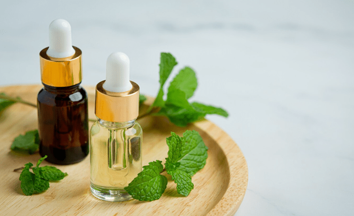 Recent Trends: The Increasing Demand for Herbal Oil in Finland Recent Trends The Increasing Demand for Herbal Oil in Finland