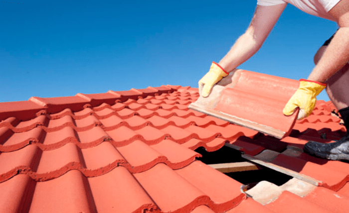 Keeping a Solid Roof Over Your Head: Navigating Repair and Maintenance Services in Sydney Screenshot 4 6
