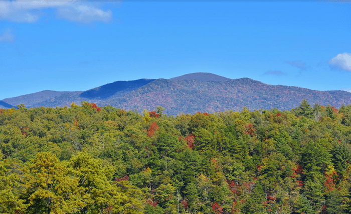 Helpful Tips for First-Time Visitors in the Smoky Mountains Screenshot 2 1