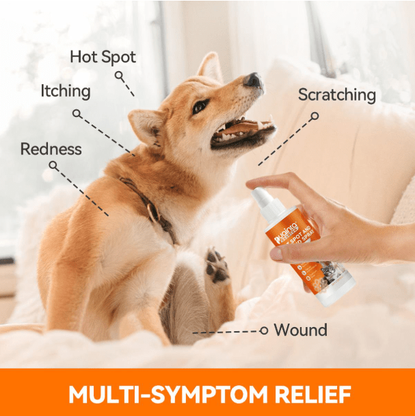 Fast Relief for Fido: How to Treat Hot Spots and Keep Your Dog Happy Screenshot 178