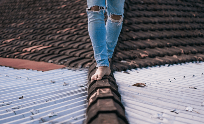 Early Signs of Roof Leaks: What Every Aussie Homeowner Needs to Know Screenshot 27