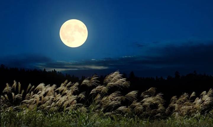 Shayari on Moon in Hindi – चाँद की रौशनी पर रोमांटिक और हसीन शायरी Shayari on Moon in Hindi