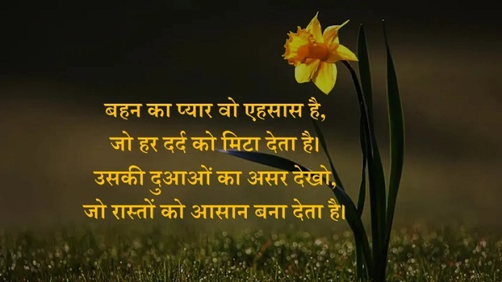 Badi Behan Ke Liye Shayari – बड़ी बहन के प्यार और छांव पर दिल से निकली शायरी badi behan ke liye shayari